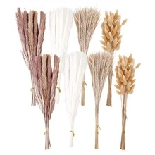 110/220/330/440pcs Dried Pampas Grass Decor Pampas Grass Contains Bunny Tails Dried Flowers, Reed Grass Bouquet For Wedding Boho Flowers Home Table Decor, Rustic Farmhouse Party (17", White And Brown) - Multicolor - View 6