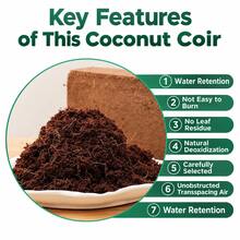 300g Compressed Coco Coir Fiber Substrate, Expands To 9L, Moisture-Retaining Fiber Material For Gardening And Plant Growing - A - View 3