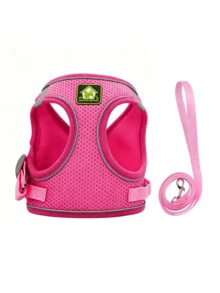 2件套宠物胸背带和牵引绳套装，采用透气网布面料，反光设计，适合户外散步和夜间使用，尺寸可调节，适合猫狗。 - 藍色 - 查看 12
