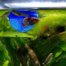 Small Floating Fish House Aquarium Hideout, Creative Suspended Fish Nest, Ornamental Fish Resting Cave, Fish Tank Landscaping Decor - View 3