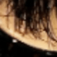 Fluffy Lashes