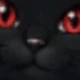 A Black Cat