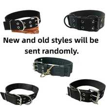 1pc Adjustable Dog Collar, Suitable For Medium/Large/Small Dogs, Military Tactical Training Dog Collar With Patch Panel, Best Gift For Dog Lovers - Multicolor - View 11