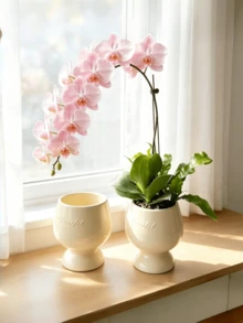 1PC Luxury Vintage High-Foot Embossed Letter Ceramic Planter Pot, Dedicated Planting Pot For Phalaenopsis Orchid, Living Room Green Plant Cultivation Pot, Desktop High-End Green Plant Potted Container, Home Decor Ornament - B - View 3