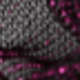 S40914-purple