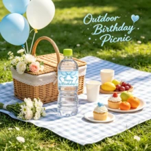 4/10/24/48入 粉色/藍色蝴蝶結生日水瓶貼紙，男孩女孩生日派對裝飾，蝴蝶結與氣球設計礦泉水飲料貼紙 - 粉色 - 查看 8