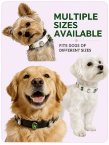 1pc Leather Pet Collar, Luxury Emerald & AB Rhinestone Cat Dog Collar, Adjustable Buckle Shiny Neck Collar, Suitable For Small And Medium Pets Party Photo Decoration - Multicolor - View 5