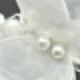 White Four-flower