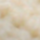杏色