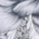 S49360-blue Flower