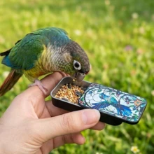 1pc Bird Print Outdoor Portable Feeder, Multi-Functional Mini Pocket Practical Small Tin Box, With Fashionable And Exquisite Pattern, Perfect Gift For Holidays - one-size - View 3