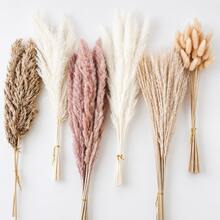 117 PCS Dried Pampas Grass Bouquet, Boho Table Decor, Bunny Tails Dried Flowers, Brown Pompas, White Pampas Grass For Wedding, Home, Rustic Party, Baby Shower Decorations - Multicolor - View 12