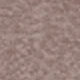 Grey Camel