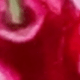 Bright Red Cherry