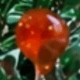 1pc