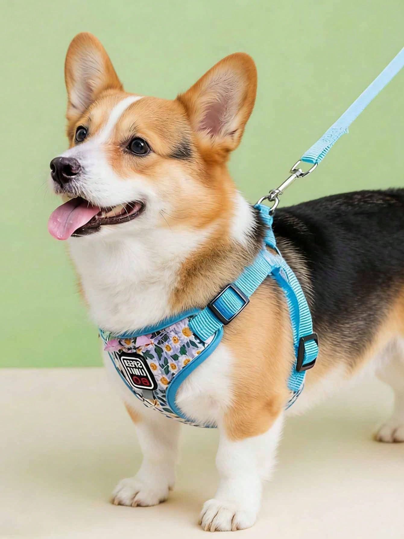 1se Dog Leash Set, Soft Mesh Anti-Zipper, Adjustable Reflective, Suitable For Small To Medium-Sized Dogs, For Walks, Running, And Training. Floral Print Leash - Multicolor - View 1