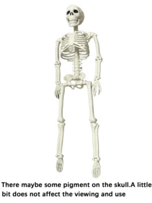 Multiple Sizes Foldable Hanging Skeleton Halloween Decorations, Posable Joint Plastic Skeleton Props For Haunted House Parties, Porches, Doors, Walls, Yards, Windows, Photo Booths & Seasonal Home Decor - Skull Series - View 12