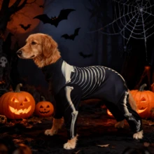 BJAYPET Halloween Pet Dog Skeleton Bone Frame Four-Legged Transformation Costume, Funny Cosplay Outfit For Weimaraner, Golden Retriever, Labrador And Large Dogs, Holiday Party Atmosphere Photo Prop Dress-Up - Black - View 12