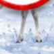 Snow Reindeer
