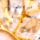XL3606 Gold