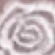 LB013-02 White