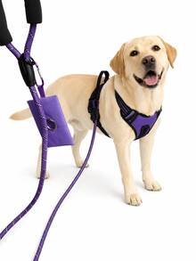 BVEOYPET 3pcs Adjustable Purple Dog Harness And 1.5m Leash Set, Black Mesh Puppy Essentials, Dog Accessories And Supplies, Suitable For Medium And Large Dogs Daily Walking - Multicolor - View 2