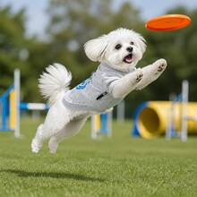 1件字母運動風寵物衛衣,適合小型犬與貓,狗狗衣服 - 彩色 - 查看 3