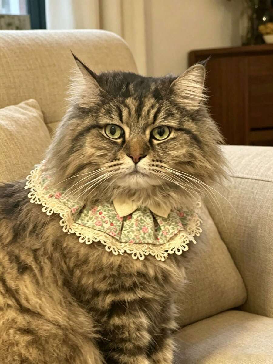 1pc Floral Bow Scarf, Cute Cat Floral Bow Collar, Detachable, Floral Pattern, Suitable For Indoor Cats, Kittens, Small Dogs, Puppies And Other Small Pets, Cat Accessories, Cat And Dog Bandana, Halloween Costume, Cat Bowknot, Cat Supplies, Dog Bowknot, Christmas, Dog Costume, Dog Scarf - Multicolor - View 1
