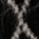 Black Gray Red