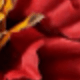 紅色
