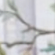 彩色