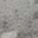 رمادي