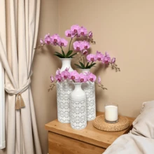 Decorative Holders & Stands - B - View 6