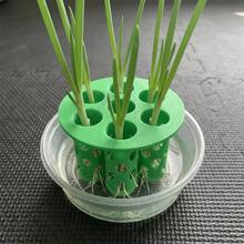 1PC 3D Printed Seed Starter Tray Garden Nursery Pot Seven Cell Plant Growing Tool For Flowers Vegetables Home Gardening - A - View 6