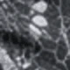 رمادي غامق