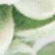 White Green