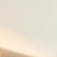 彩色