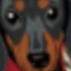 白色