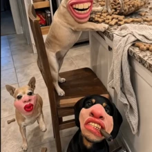 Funny Pet Muzzle Mask PU Material Flame Red Lips Pipe Shape Muzzle Mask Halloween, Christmas Party Pet Funny Prop - Multicolor - View 1