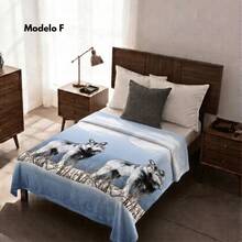 Modelo F
