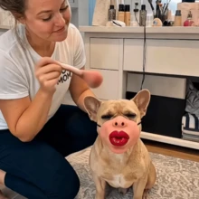 Funny Pet Muzzle Mask PU Material Flame Red Lips Pipe Shape Muzzle Mask Halloween, Christmas Party Pet Funny Prop - Multicolor - View 4