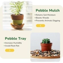 Outdoor Garden Decor Mixed Color Pebbles, Multi-Purpose Gravel, Suitable For Plant Pots, Potting Soil Surface, Fish Tanks, Landscapes, Vase Fillers And Halloween Decorations And Autumn Home Decor - Multicolor - View 3