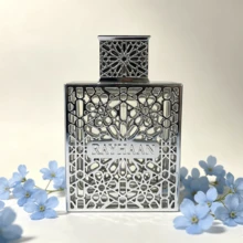 RAYHAAN عطر ريحان أكواتيكا للجنسين 100 مل، رائحة مائية منعشة، هدية رائعة لأعياد الميلاد والعطلات - طازج - مشاهدة 2
