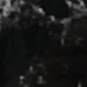 الأسود