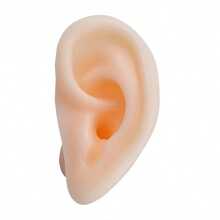 1pc Creative Silicone Adult Ear Model, Realistic Ear Training For Ear Cleaning, Fake Ear Halloween Gift - Beige - View 7