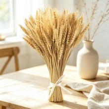 100 Pieces Of Dried Wheatgrass, 40 Cm, Natural Wheat Flower Bouquet, Dried Flower Arrangement For Fireplace, Home, Kitchen, And Table Decoration - Dry Wheat - View 1