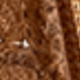Gul