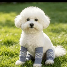 Pet Outdoor Dog Joint Socks Small Teddy Corgi Knee Pads Anti-Urine Anti-Dirt Non-Constricting All Season Use - Multicolor - View 5