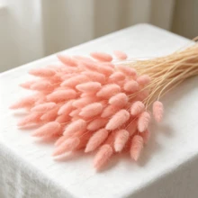 Natural Pink Bunny Tail And Pampas Grass, 120 Dried Flowers For Room And Table Decoration - 120 Pcs - View 1