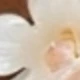 彩色
